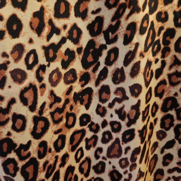 Zara Brown Leopard Long Sleeve Dress - Picture 2 of 11
